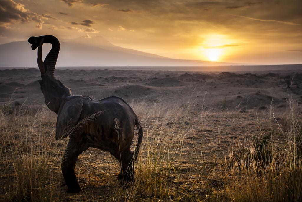 Original Maasai Lodge - Africa Amini Life Engare Nanyuki Exteriér fotografie